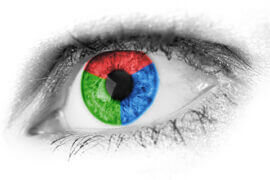 Red Blue Green Iris