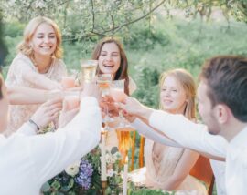 group of friends toasting at picnic